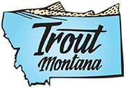 Trout Montana