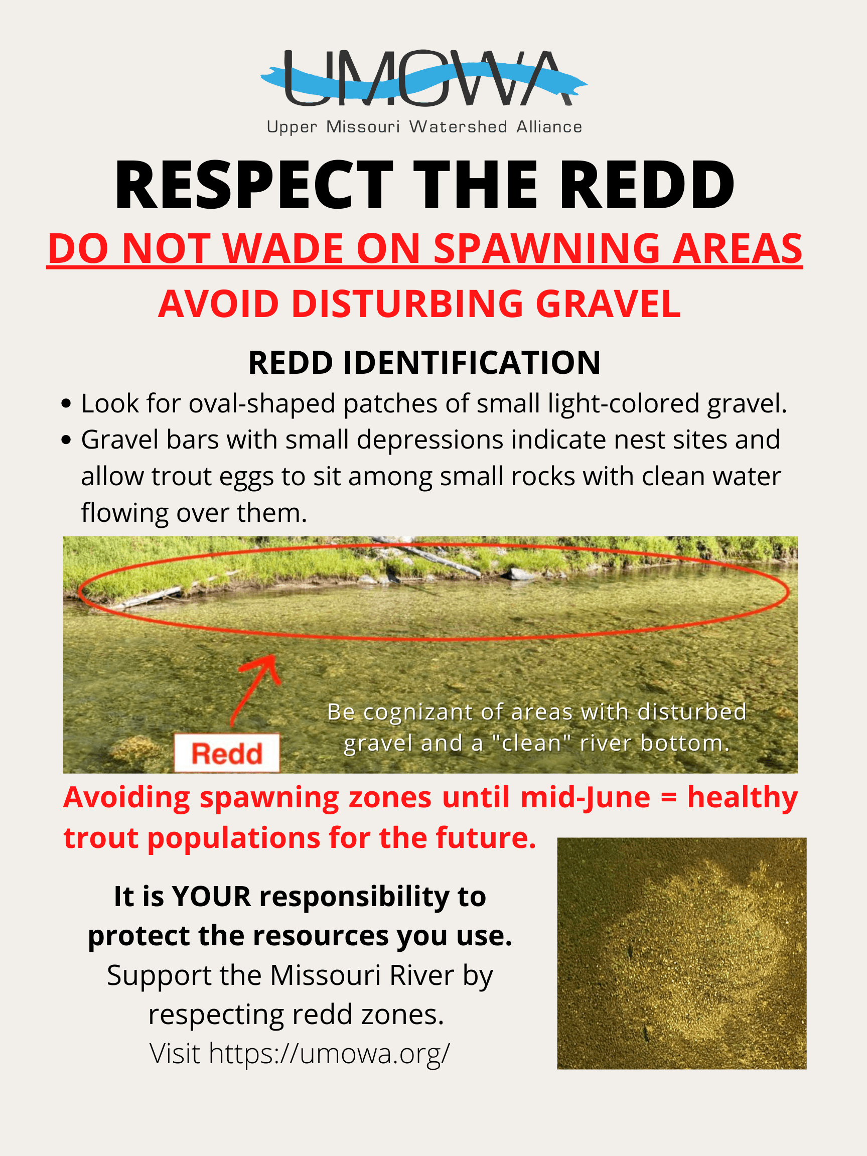 Respect the Redd poster