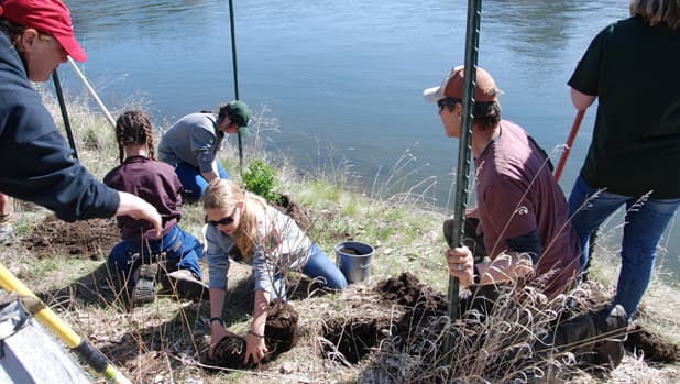 UMOWA volunteers planting and installing erosion fencing on a Missouri River streambank