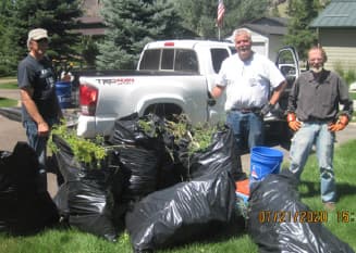 UMOWA volunteers with bags of pulled noxious weeds loaded on a truck