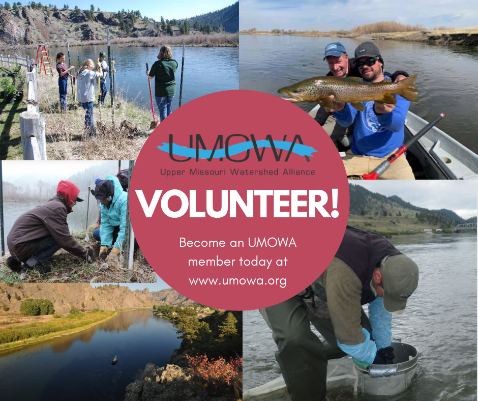 UMOWA volunteers working on river conservation projects