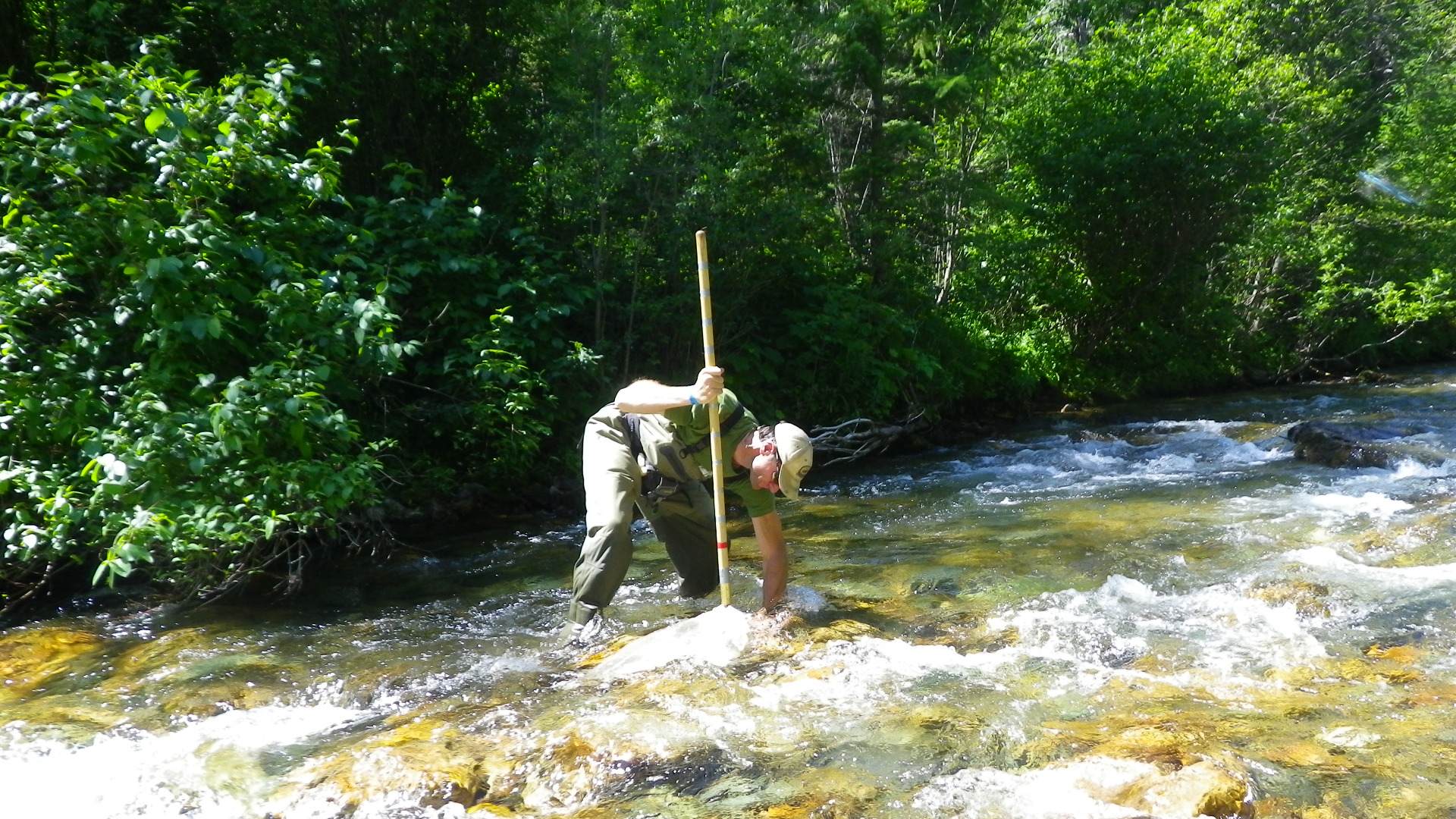 Kick-net sampling in a North Fork Fish Creek riffle